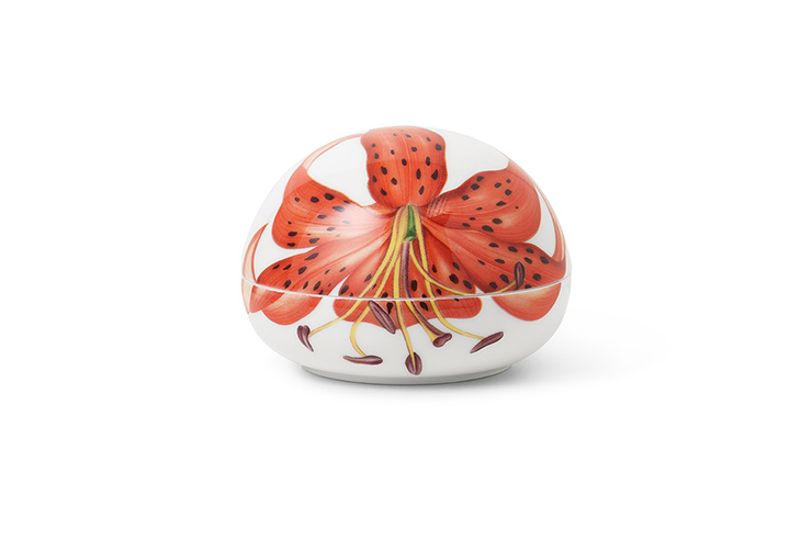 Bonbonniere - Tiger Lily